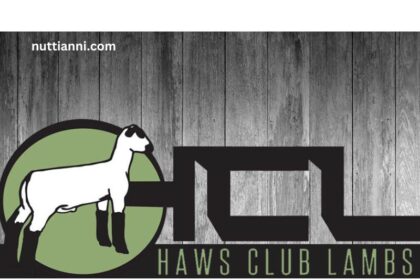 Haws Genetics and Club Lambs