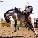 West Texas Fair and Rodeo Bronc Rider