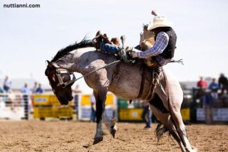 West Texas Fair and Rodeo Bronc Rider