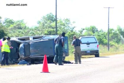 Fatal Traffic Accident on the Highway Claims Several Lives